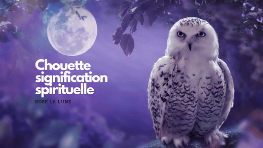 Chouette signification spirituelle