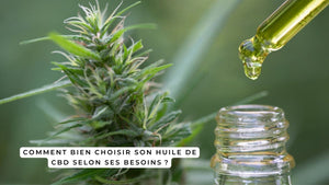 Comment bien choisir son huile de CBD selon ses besoins ?