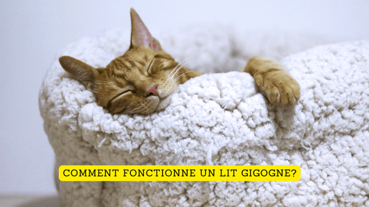 Comment fonctionne un lit gigogne?