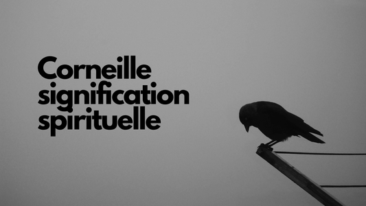 Corneille signification spirituelle