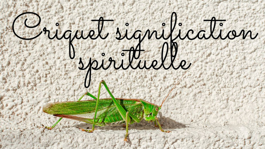 Criquet signification spirituelle