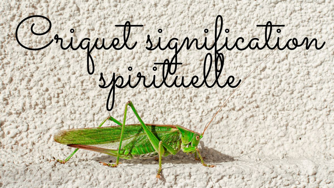 Criquet signification spirituelle