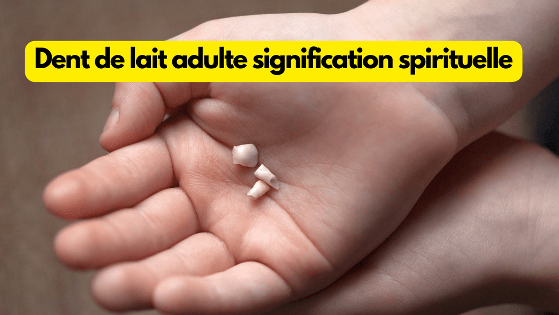 Dent de lait adulte signification spirituelle