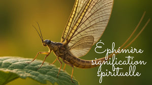 Éphémère signification spirituelle