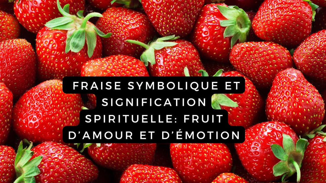  Fraise symbolique : fruit d’amour, de mémoire et d’émotion