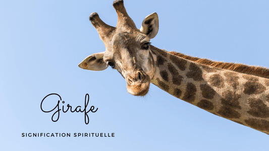 Girafe signification spirituelle