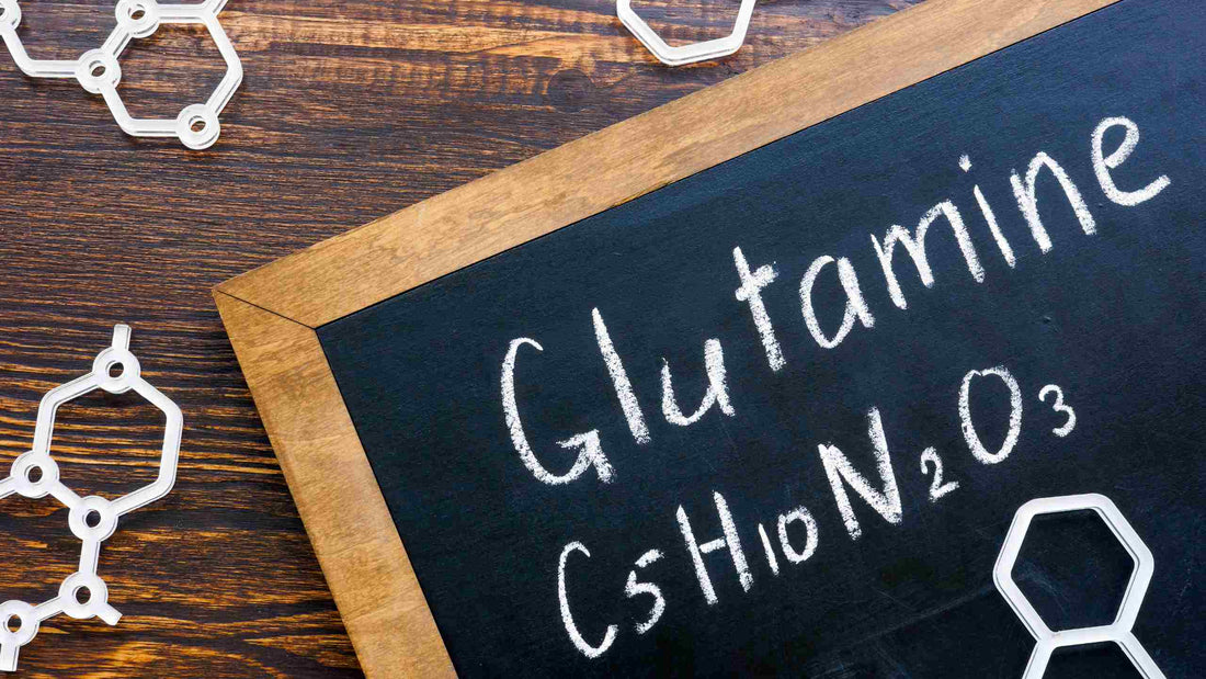 La glutamine pour mieux vivre son bien-être au quotidien