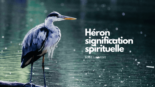 Heron signification spirituelle