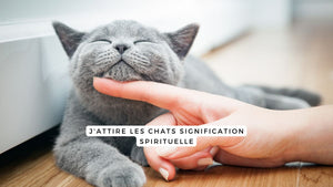 J'attire les chats signification spirituelle