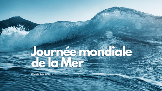 Journee mondiale de la mer 2023: date et origine