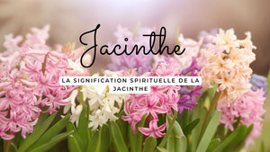 La signification spirituelle de la jacinthe