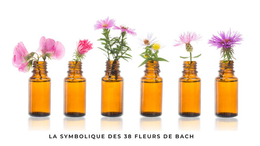 La symbolique des 38 fleurs de Bach