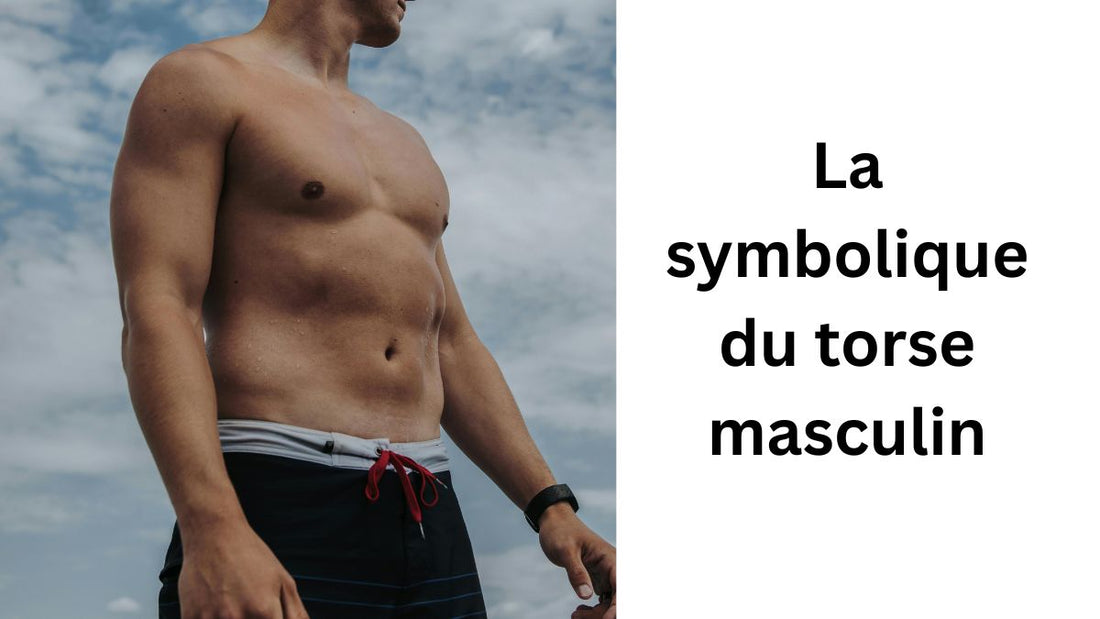 La symbolique du torse masculin