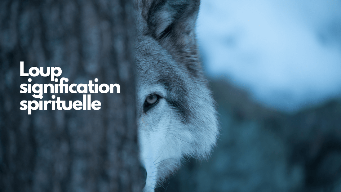 Quelle est la signification spirituelle du loup?