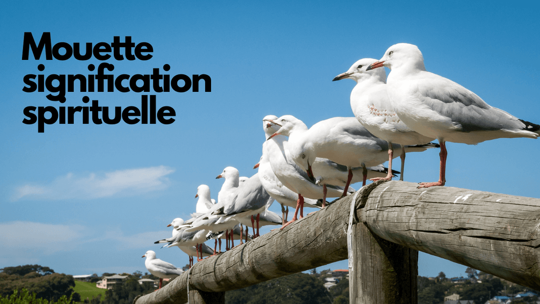 Mouette signification spirituelle