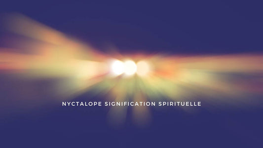 Nyctalope signification spirituelle