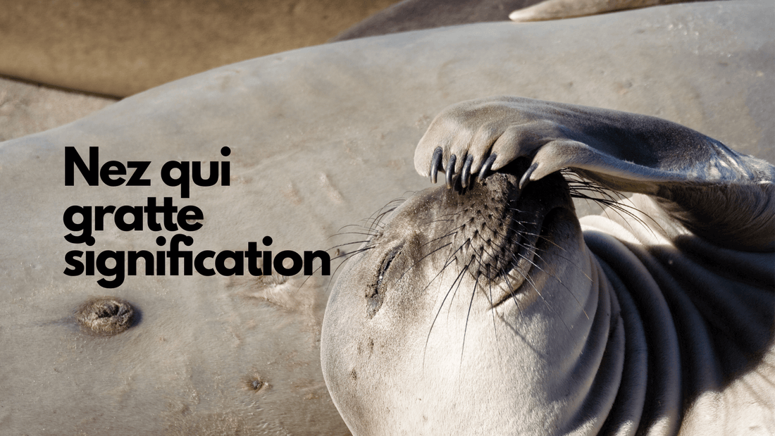 Nez qui gratte signification
