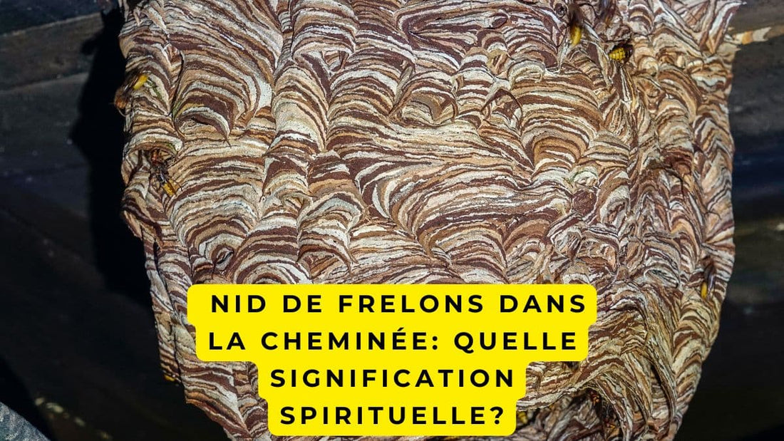 Nid de frelons dans la cheminée: quelle signification spirituelle?