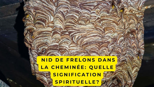 Nid de frelons dans la cheminée: quelle signification spirituelle?