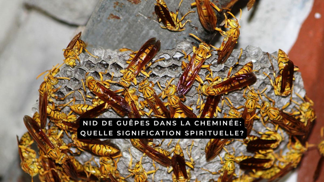 Nid de guêpes dans la cheminée: quelle signification spirituelle?