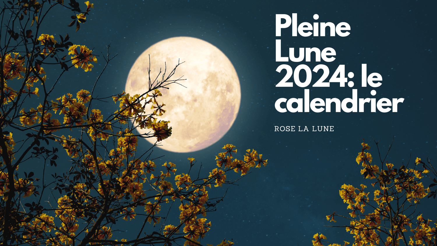 Pleine Lune 2024 le calendrier Rose La Lune