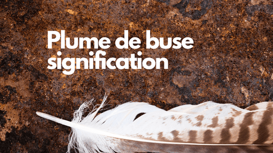 Plume de buse signification