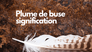 Plume de buse : quelle signification spirituelle ?