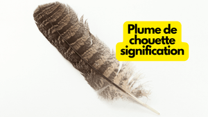 Plume de chouette signification