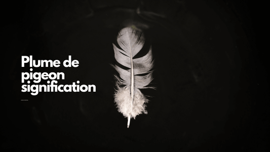 Plume de pigeon signification