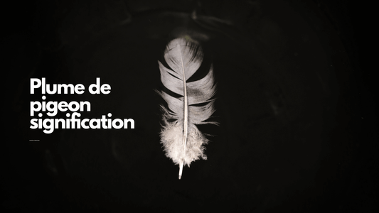 Plume de pigeon signification