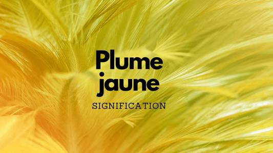 Plume jaune signification