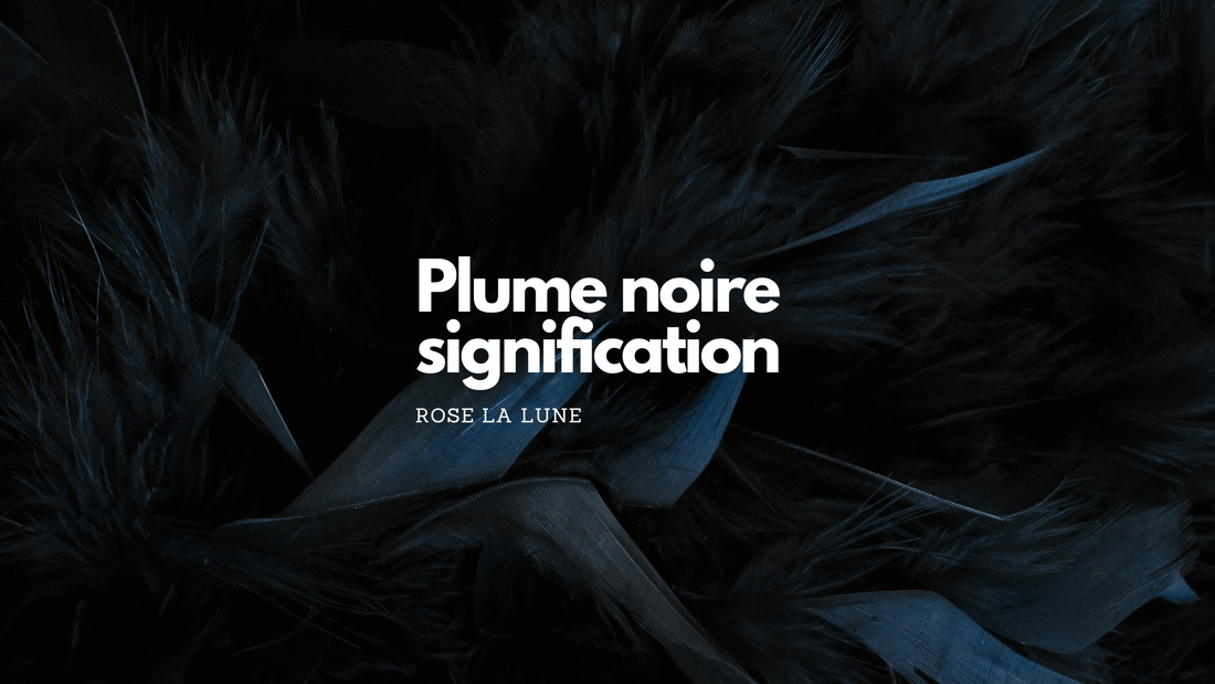 Quelle est la signification d'une plume noire?