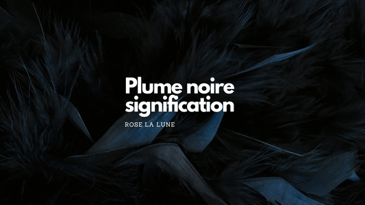 Quelle est la signification d'une plume noire?