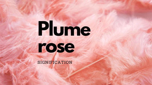 Plume rose signification