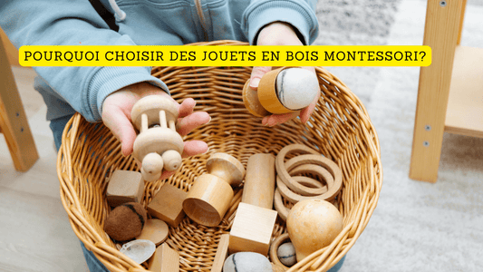 Pourquoi choisir des jouets en bois Montessori?