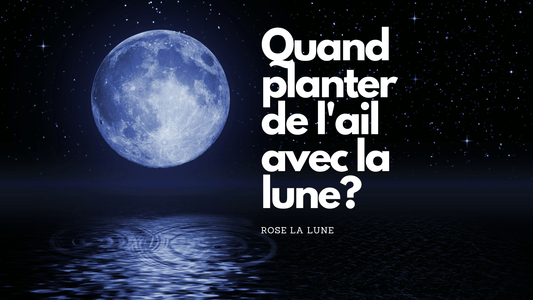 Quand planter de l'ail avec la lune?