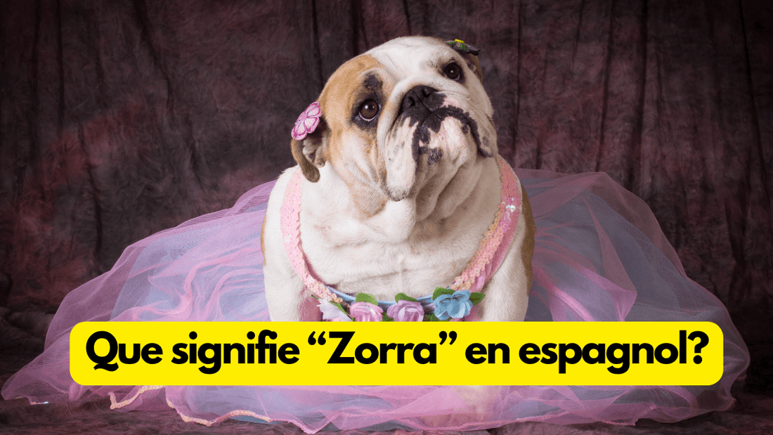 Que signifie Zorra en espagnol?
