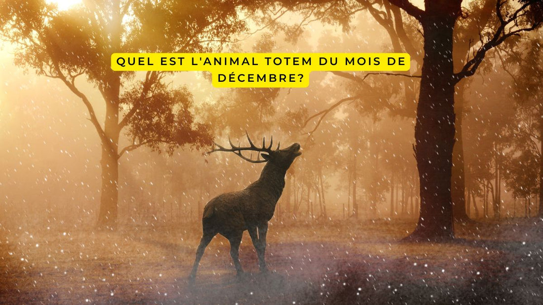 Quel est l'animal totem du mois de décembre?