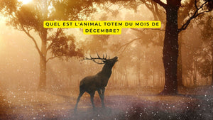 Quel est l'animal totem du mois de décembre?