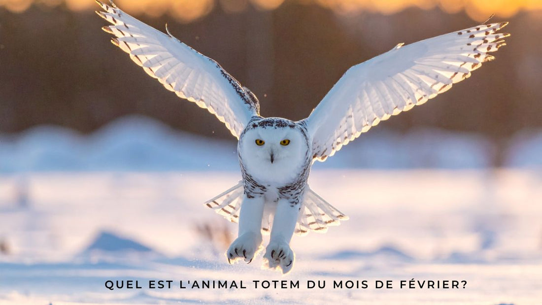 Quel est l'animal totem du mois de février?