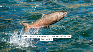 Quel est l’animal totem du mois de juillet ?