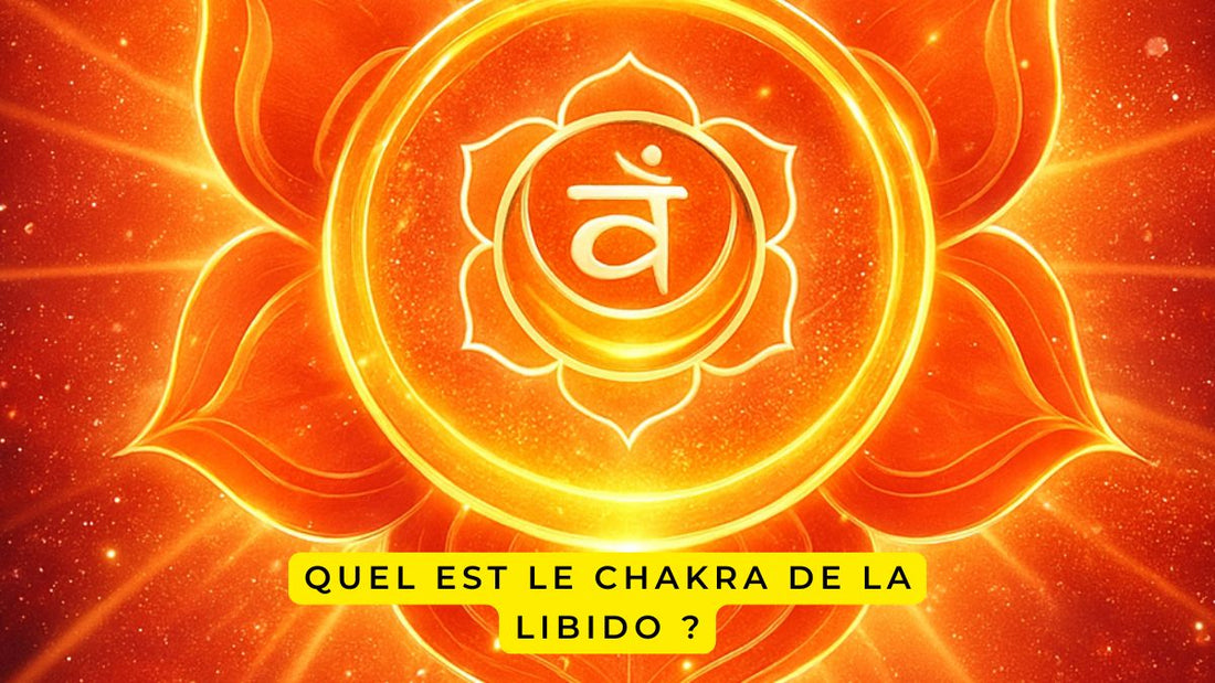 Quel est le chakra de la libido ?