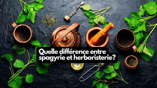 Quelle différence entre spagyrie et herboristerie?