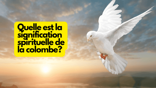 Quelle est la signification spirituelle de la colombe?