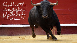Quelle est la signification spirituelle du Taureau ?