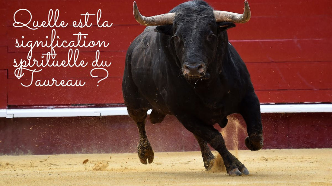 Quelle est la signification spirituelle du Taureau ?