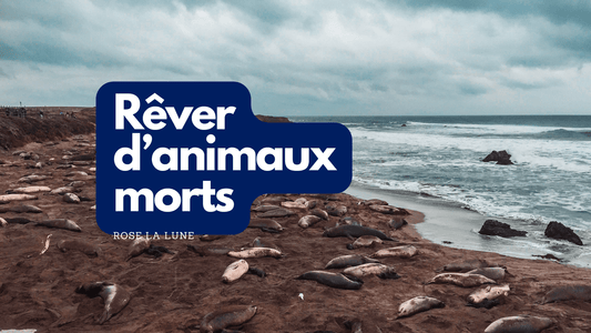 Rever d animaux morts: signification et interpretation