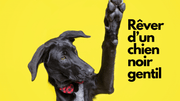 Rêve de chien noir gentil: quelle signification?