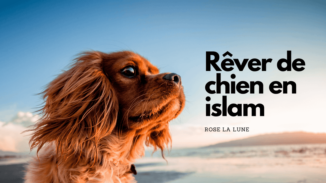 Rêver de chien en islam: signification et interprétation