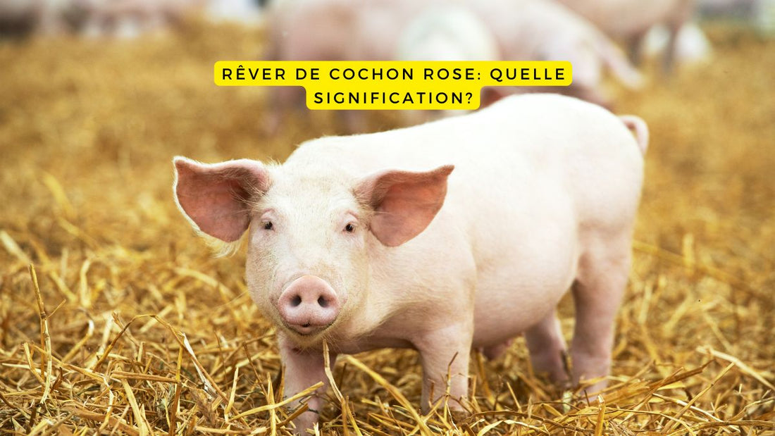 Rêver de cochon rose: quelle signification?